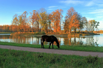 im Oktober / ***