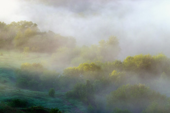 Dort, hinter dem Nebel ... / ***