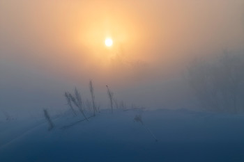 Morgen / ***