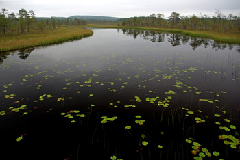 Stille Wasser sind tief / ***