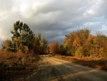 Straße zum Herbst / ***
