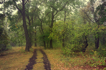 allen Farben des Herbstes / ...