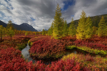 allen Farben des Herbstes / ***
