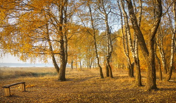 Im alten Park / ***