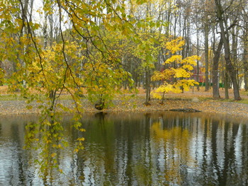 allen Farben des Herbstes / ***