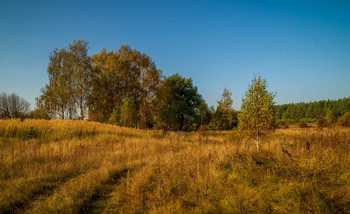 allen Farben des Herbstes / ***