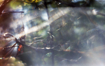 allen Farben des Herbstes / ,/J