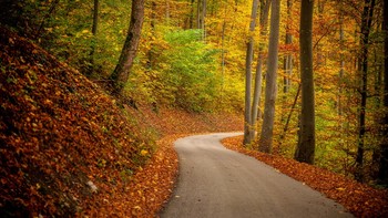 allen Farben des Herbstes / ***