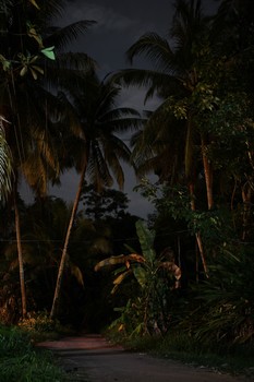 Ko Kut / Night in Ko Kut island.