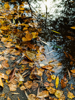 Autumn ???? / ***