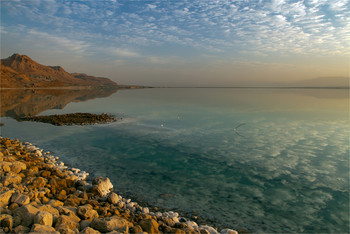 Dead Sea / ***