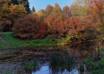 Herbstfarben / ***