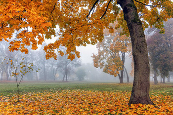 Herbst-Outfit / ***