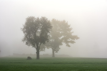 Nebel / ***