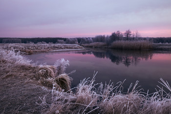 Grauer Morgen / ...