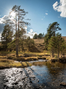 Zlatibor Mountain, Serbia / Autumn on Zlatibor mountain captured with Nikon D5600 and 18-105mm lens.