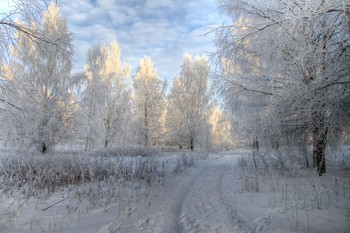 Rime / ***