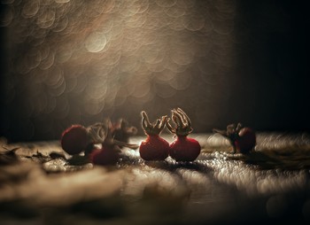 Herbst Romantik / ***