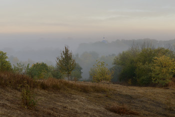 Morgennebel. / ***
