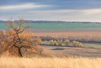 Über Herbst ... / ***