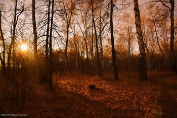 Herbstabend / ...
