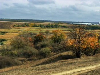 Warme Herbst / ***