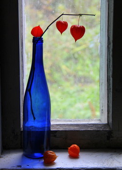 Still Life / ***
