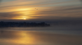 Sonnenaufgang / ***