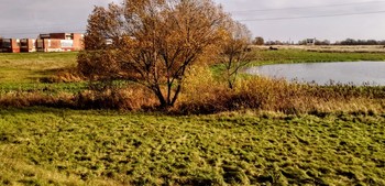 Herbsttag / ***