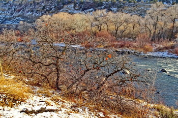  / Animas River, Durango, city, Colorado, USA