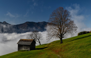 Nebel / Nebelstimmung im Almtal