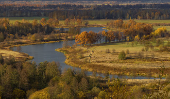 Herbst / ***