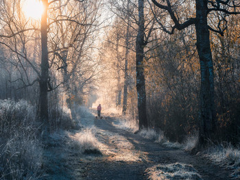 Die ersten Frost. / ***