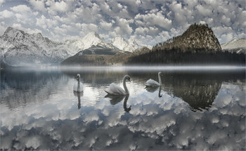 Wattewolken / Manchmal sind es nur ein paar Zeilen, die uns den Tag verschönern. Warme Worte für den ganzen Tag. Ein kleiner Gruß von ganzem Herzen. Und zwischen den Zeilen ist ein Zauber verborgen … der macht aus Wolken Zuckerwatte und aus Sorgen Pusteblumen …
liebe Grüße an alle Fotofreunde.