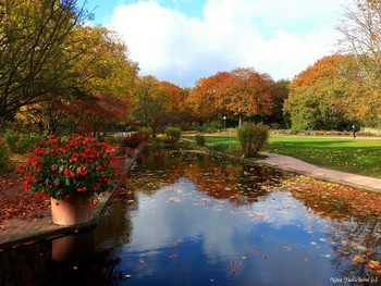 Planten un Blomen Hamburg / ***