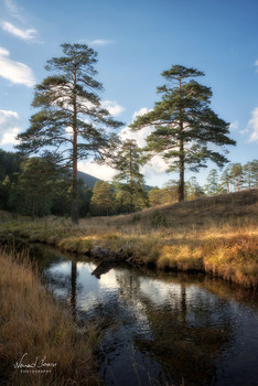 Zlatibor Mountain, Serbia / Beautiful nature on Zlatibor mountain in Serbia. Shot with Nikon D5600 and 18-105mm lens.