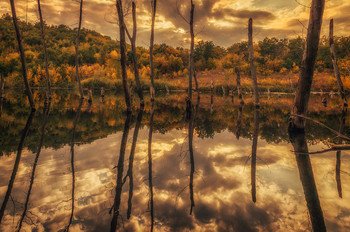 Flood of Tears... / http://www.youtube.com/watch?v=e7gvuKOKjoQ&feature=emb_logo