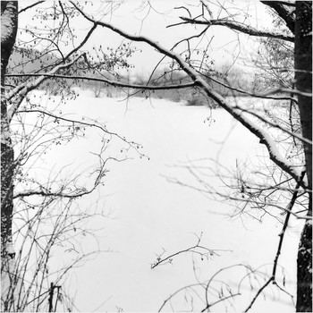  / YashicaMat124G
