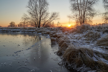 Frostigen Morgen. / ***