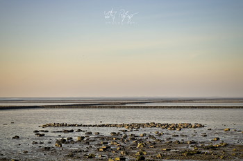 November an der Küste / Landgewinnung an der Nordsee