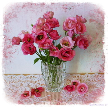 Eustoma / ***