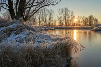 Frostigen Morgen. / ***