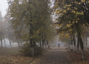  / Foggy Morning...