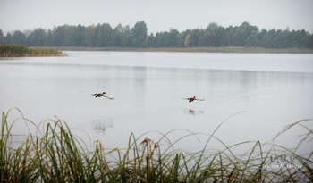 Die Natur / https://vk.com/e.vaguro
https://www.instagram.com/vaguro_v_u_v/
https://web.facebook.com/evgeniy.vagouro