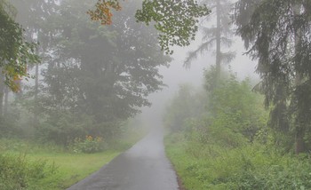 Morgennebel / ***