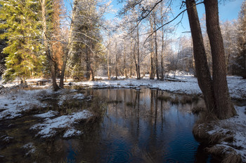 Der erste Schnee / ***