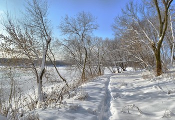Winter / ***