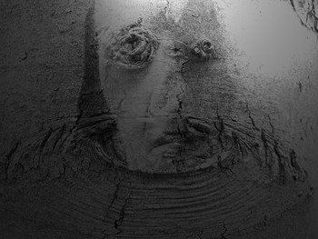 Link / Who am I?