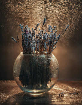 Lavendel / ***
