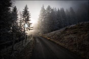 Alpstrasse. / Schweiz